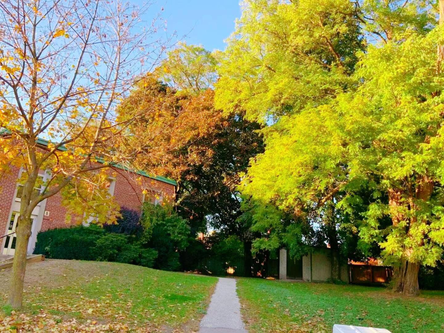 Leaside Garden Guesthouse โตรอนโต ภายนอก รูปภาพ